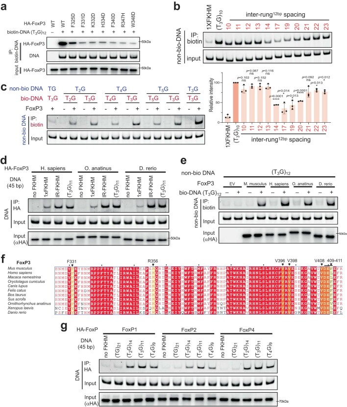 Extended Data Fig. 6