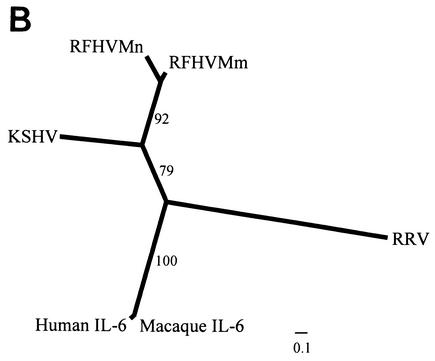 FIG. 6.