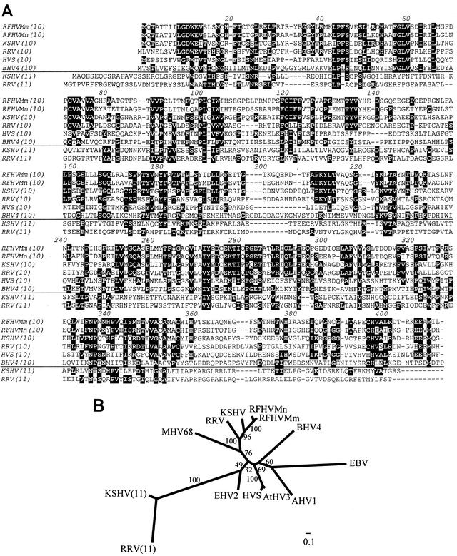 FIG. 5.