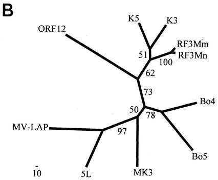 FIG. 8.