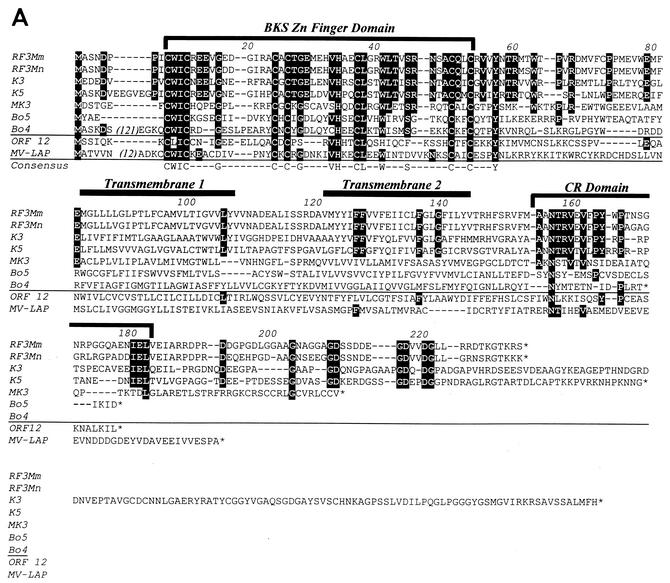 FIG. 8.