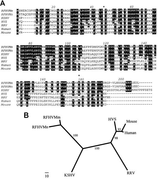 FIG. 7.