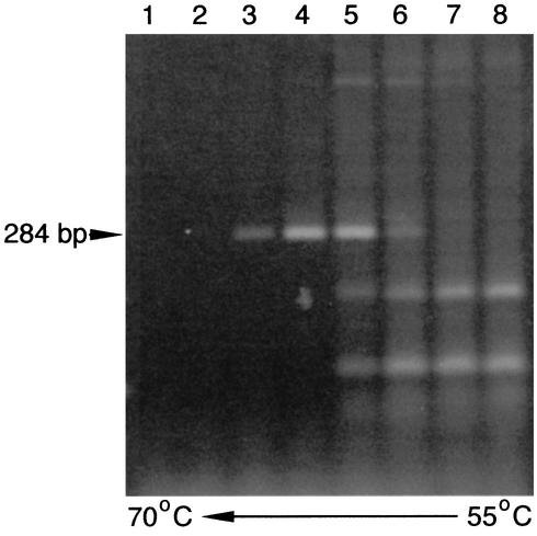 FIG.2.