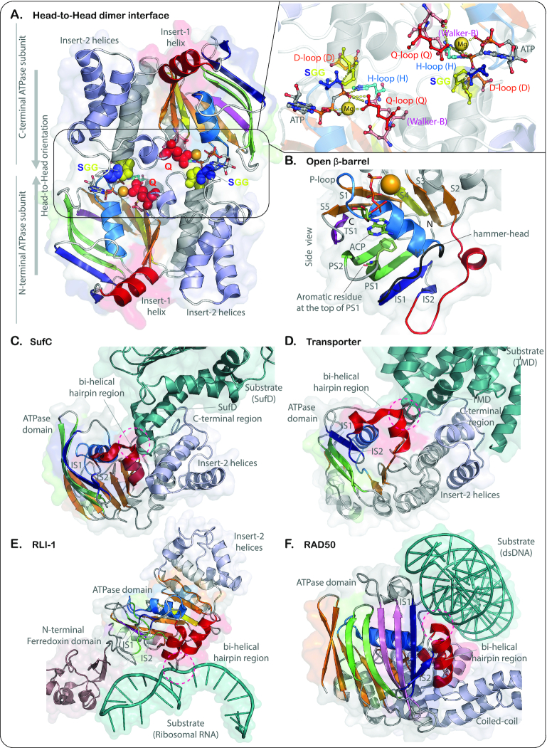 Figure 2.