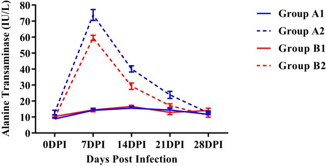 Figure 5