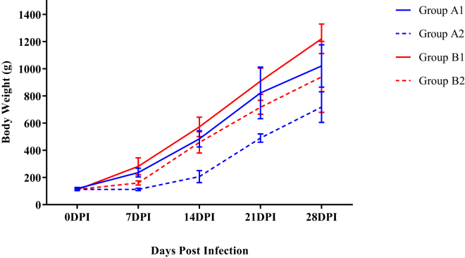 Figure 1