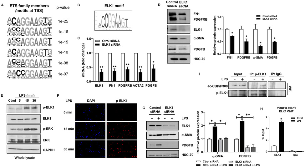 Figure 4: