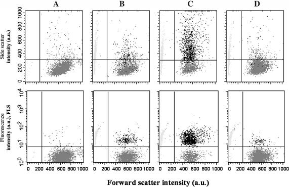 FIGURE 3