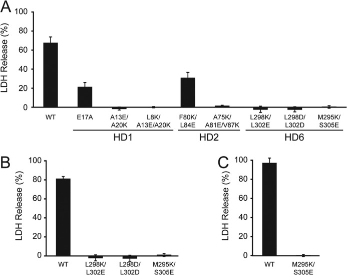 FIGURE 4.