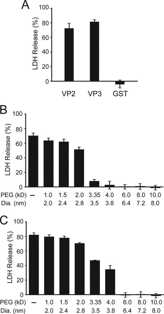 FIGURE 1.