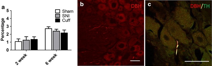 Fig. 6