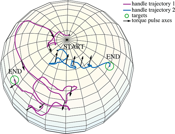 Fig. 10.