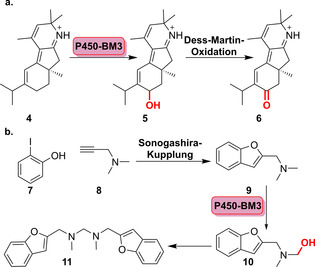 Scheme 3