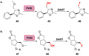 Scheme 7