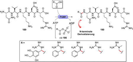 Scheme 34