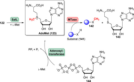 Scheme 22