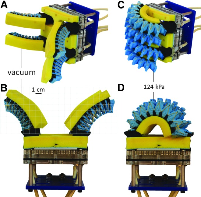 FIG. 8.