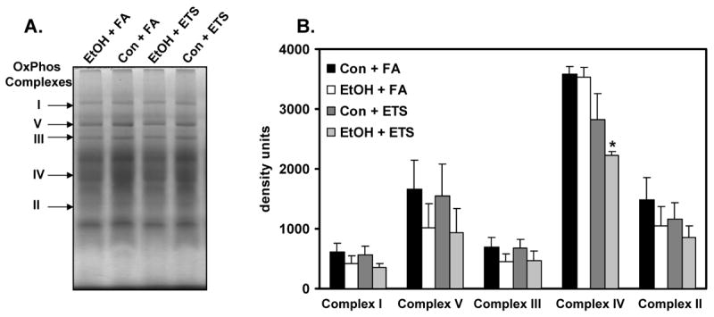 Fig. 10