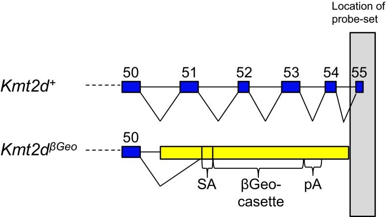 Fig. S3.