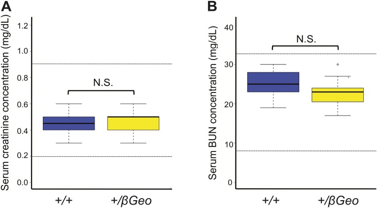 Fig. S6.