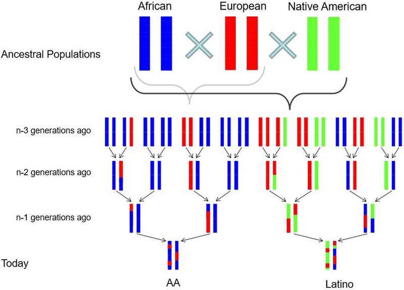 Figure 1: