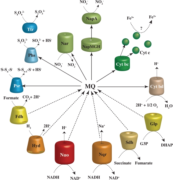 Figure 4