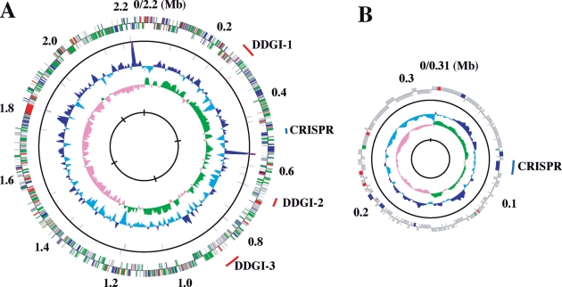 Figure 1