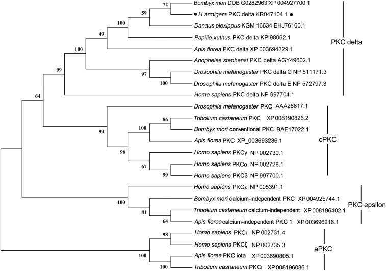 Fig. S1.