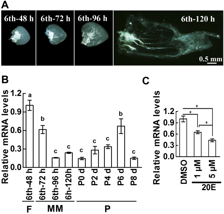 Fig. S3.