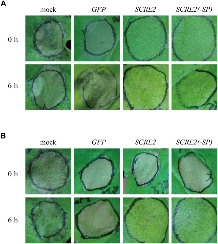 FIGURE 3