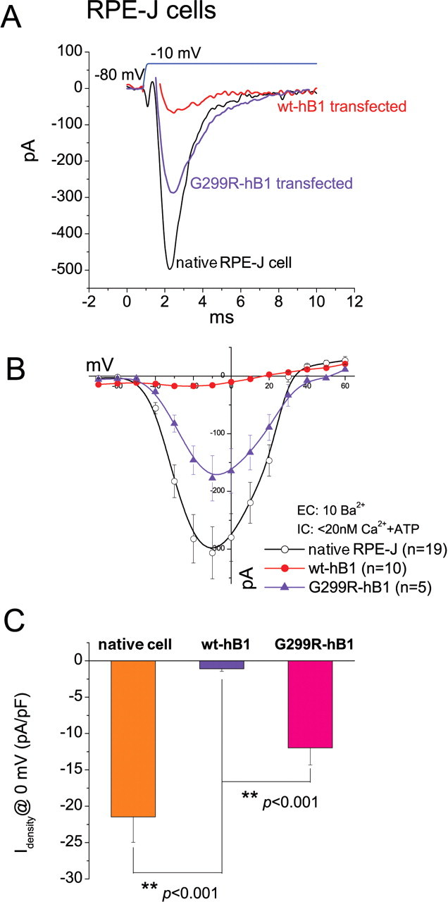 Figure 10.