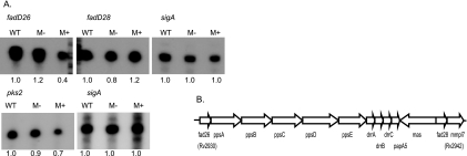 FIG. 5.