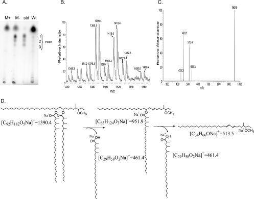 FIG. 6.