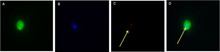 Figure 6