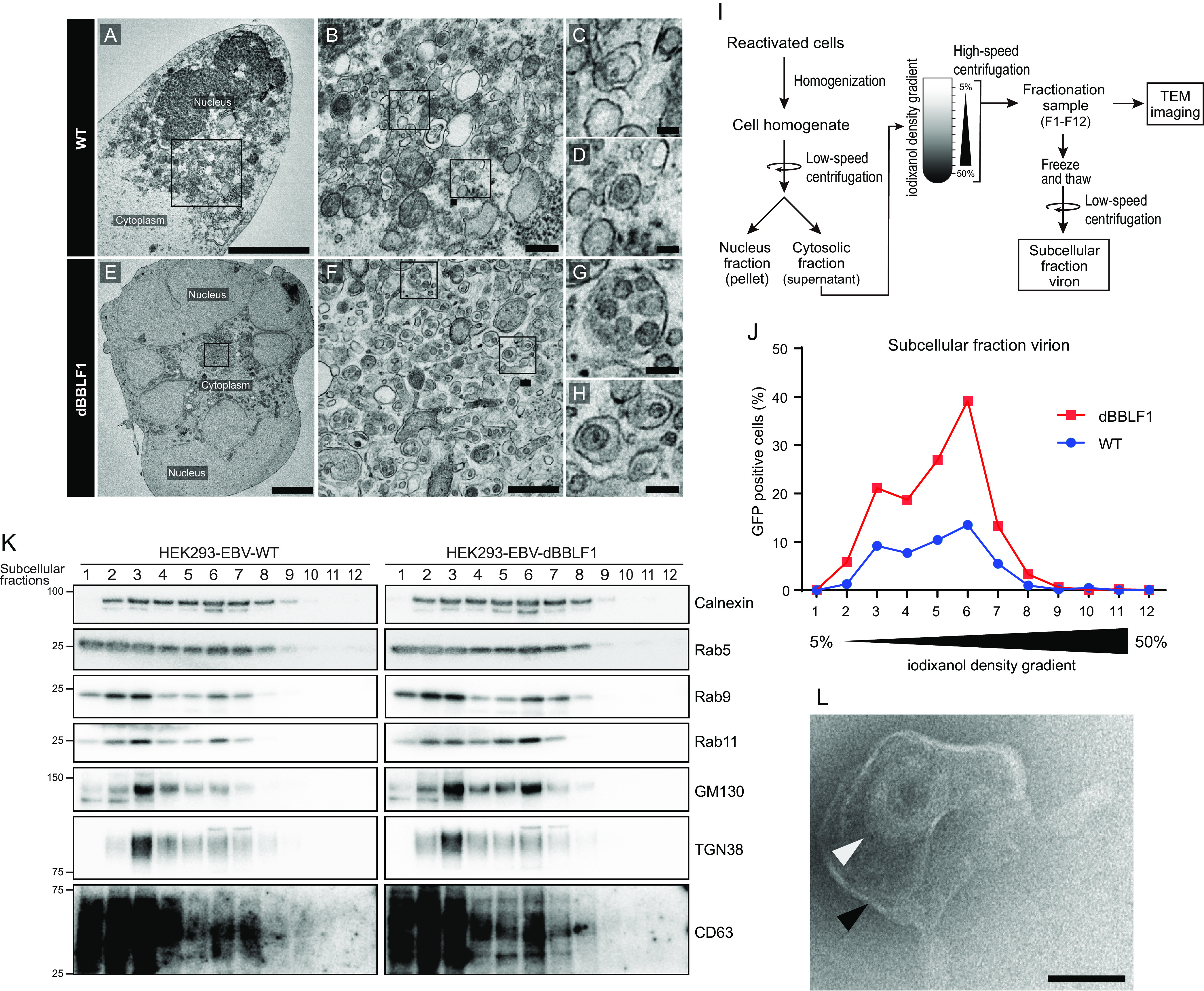 FIG 6