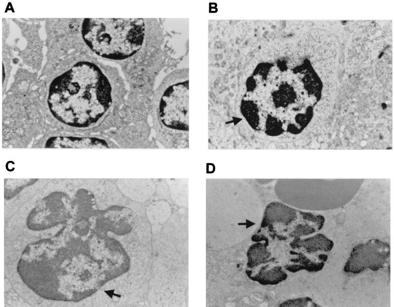 FIG. 6