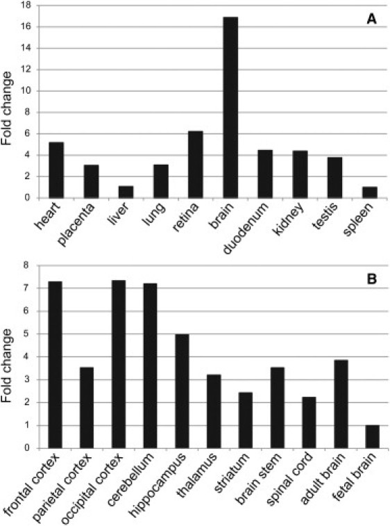 Figure 3