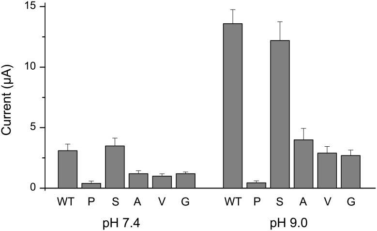 Fig 4