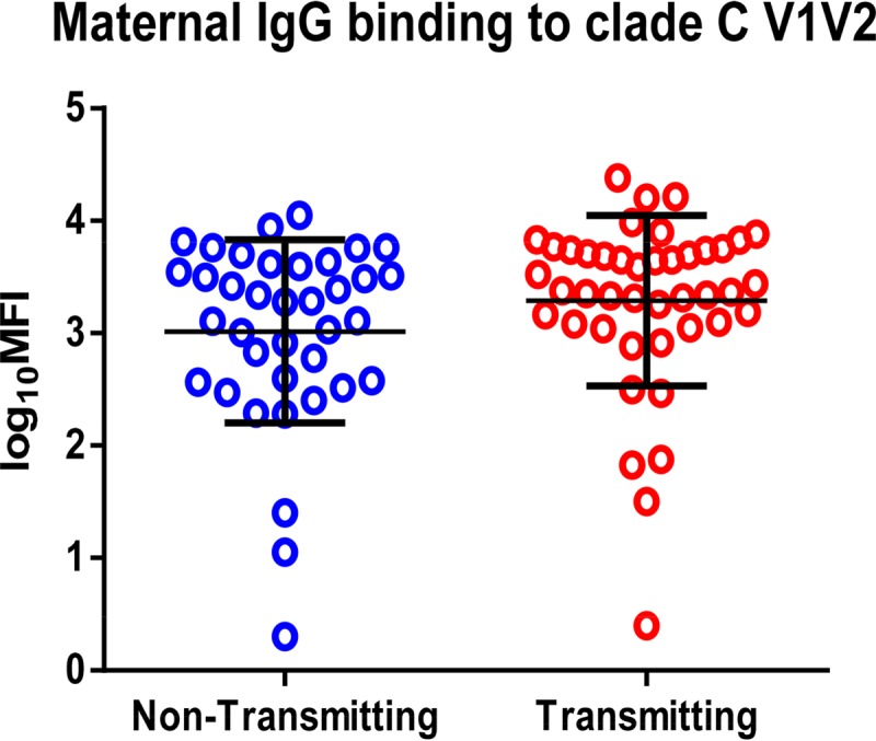 FIG 2