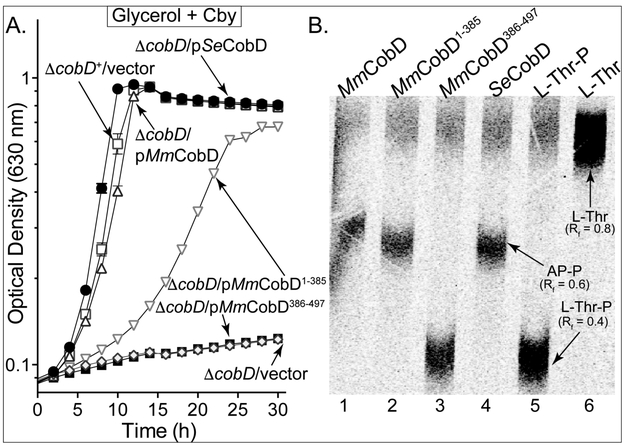 Figure 3.