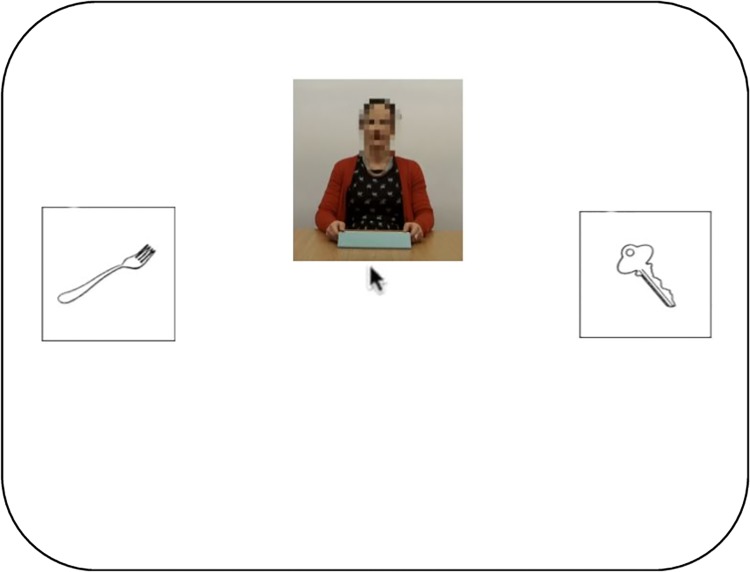 Fig 1