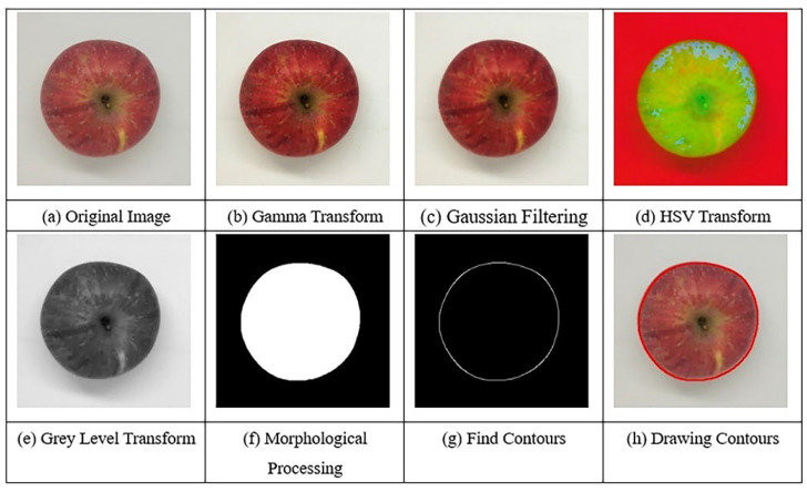 Figure 13