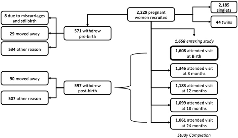 Figure 1.