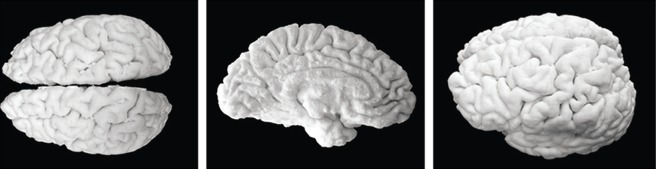 Figure 3.