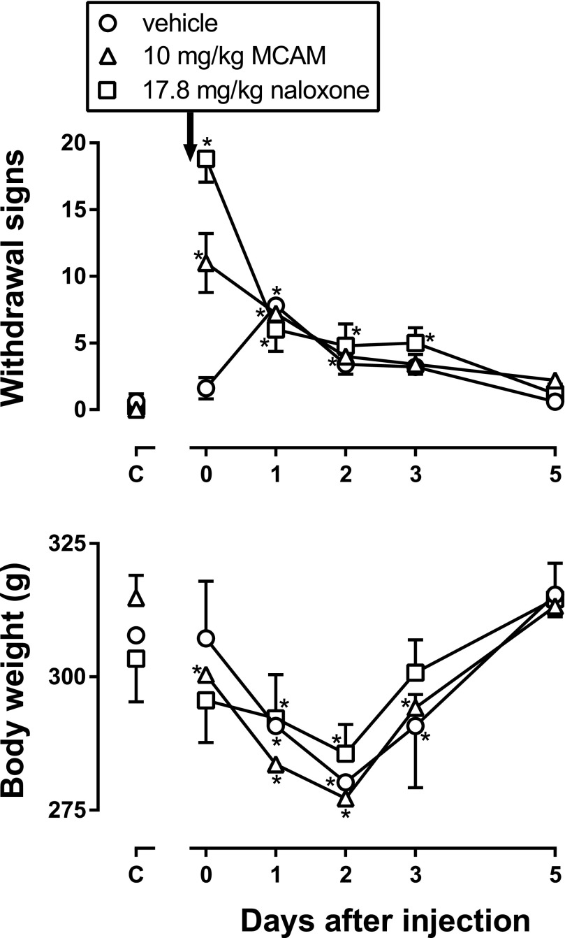 Fig. 8.