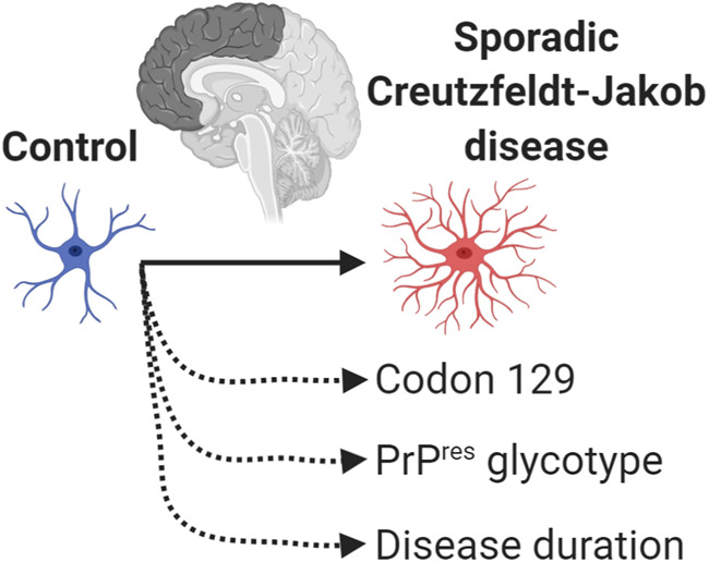 Graphical Abstract