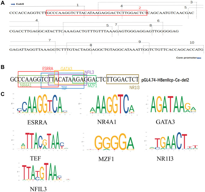 Figure 5