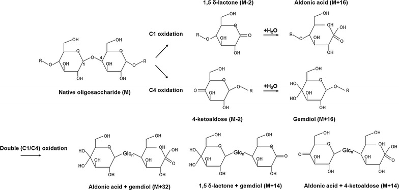 Fig. 2