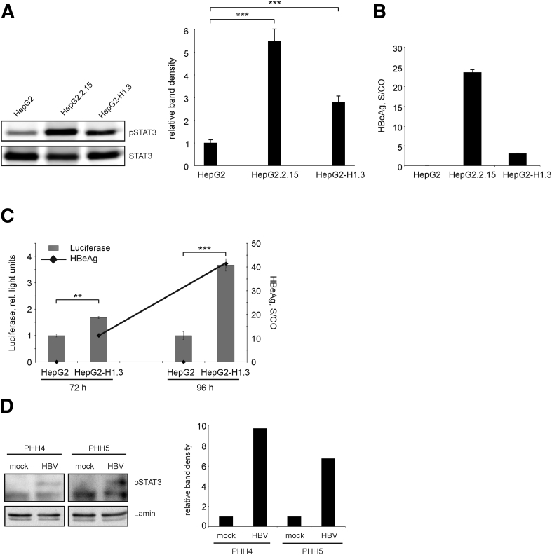 Figure 3