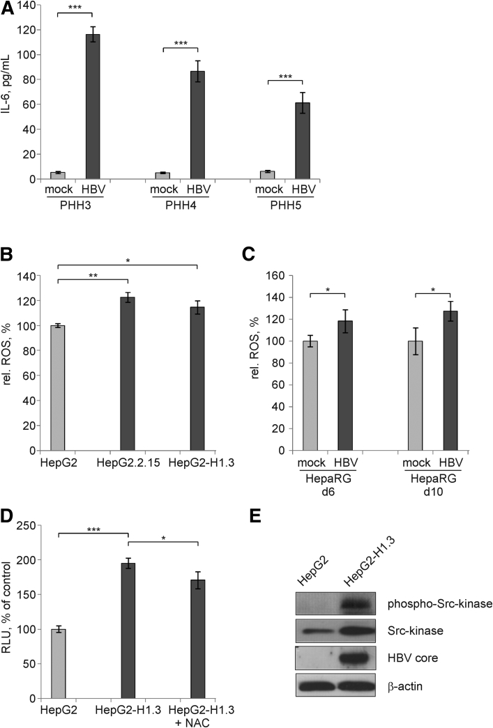 Figure 6